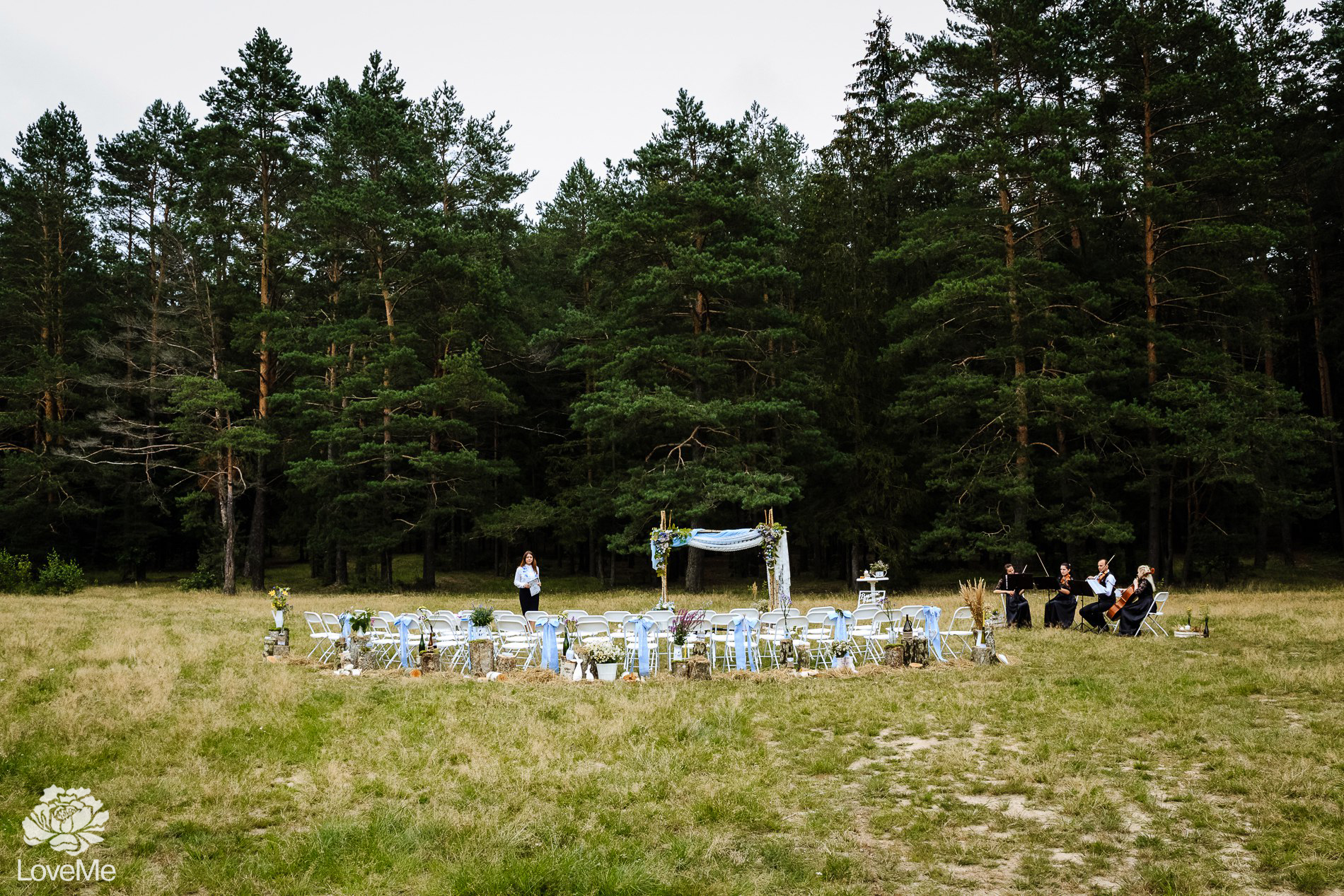 Выездная регистрация церемония в Могилеве свадебное агентство ЛавМи организация свадьбы экосвадьба украшение декор банкета свадьбы свадьба в поле на поляне в лесу