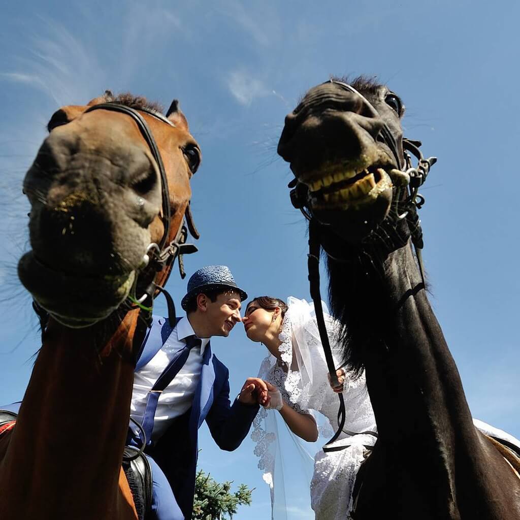 итальянская зеленая салатовая свадьба выездная регистрация церемония роспись в шатре у куркуля могилев свадебное агентство ЛавМи декор украшение шатра организация 